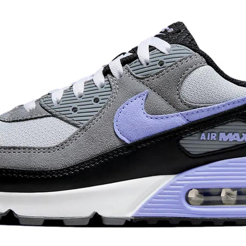 Nike Air Max 90 Photon Dust / Light Thistle  DM0029-014 Men's
