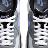 Nike Air Max 90 Photon Dust / Light Thistle  DM0029-014 Men's
